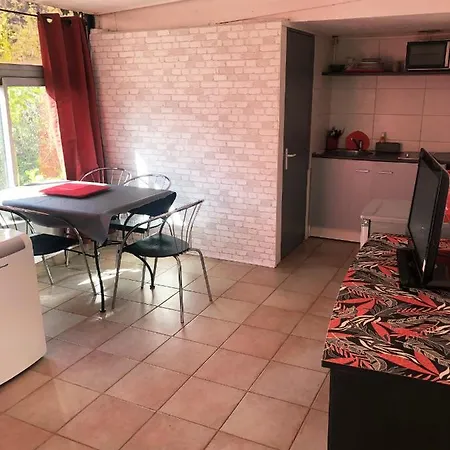 Studio Cimiez Piscine Et Jardin דירה *